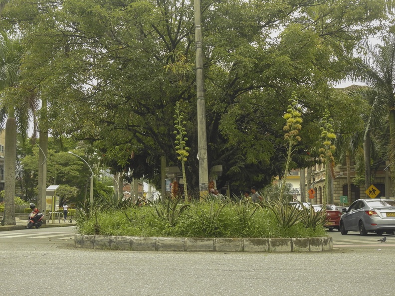 2. Avenida Juan del Corral.jpg