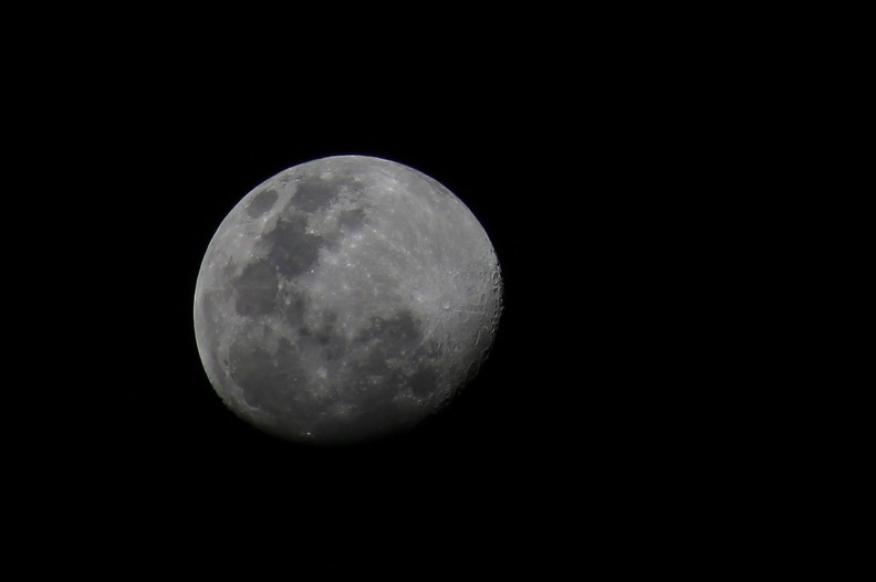 Luna 20.jpg