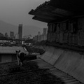 Medellin observada por un gato.jpg