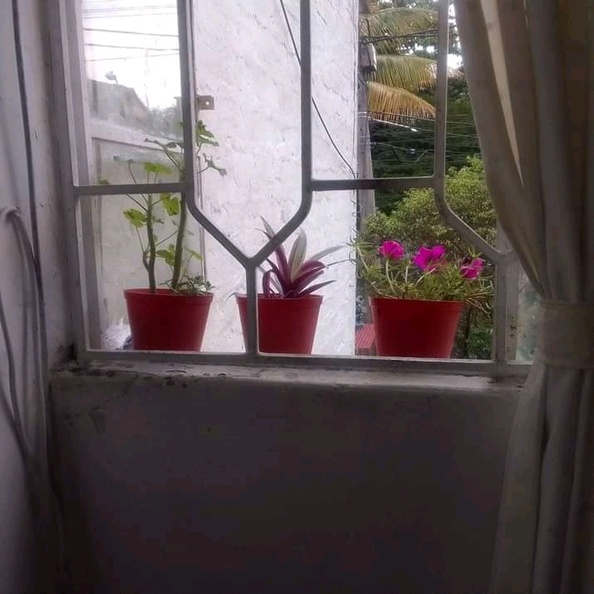 flores en ventana cuarto.jpg